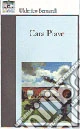 Cara Piave