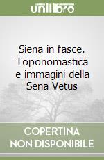 Siena in fasce. Toponomastica e immagini della Sena Vetus libro