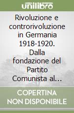 Rivoluzione e controrivoluzione in Germania 1918-1920. Dalla fondazione del Partito Comunista al putsch di Kapp libro