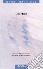 Cervino-Cervin