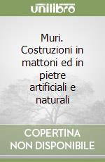 Muri. Costruzioni in mattoni ed in pietre artificiali e naturali libro