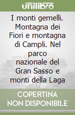 I monti gemelli. Montagna dei Fiori e montagna di Campli. Nel parco nazionale del Gran Sasso e monti della Laga