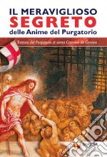 Il meraviglioso segreto delle anime del purgatorio libro