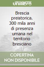 Brescia preistorica. 300 mila anni di presenza umana nel territorio bresciano libro