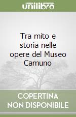 Tra mito e storia nelle opere del Museo Camuno