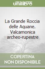 La Grande Roccia delle Aquane. Valcamonica archeo-rupestre libro