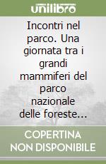 Incontri nel parco. Una giornata tra i grandi mammiferi del parco nazionale delle foreste casentinesi, monte Falterona e Campigna libro