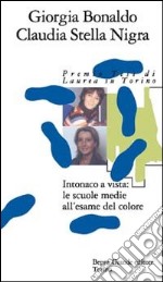 Intonaco a vista: le scuole medie all'esame del colore libro