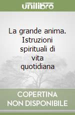 La grande anima. Istruzioni spirituali di vita quotidiana libro