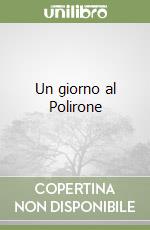 Un giorno al Polirone libro