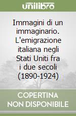 Immagini di un immaginario. L'emigrazione italiana negli Stati Uniti fra i due secoli (1890-1924)