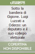 Sotto la bandiera di Gigione. Luigi Luzzati a Oderzo: un deputato e il suo collegio elettorale libro