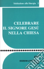 Celebrare il Signore Gesù nella Chiesa. Iniziazione alla liturgia libro