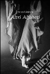 Altri alfabeti libro