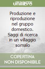 Produzione e riproduzione nel gruppo domestico. Saggi di ricerca in un villaggio somalo