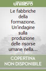 Le fabbriche della formazione. Un'indagine sulla produzione delle risorse umane nella grande impresa industriale libro