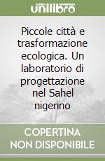 Piccole città e trasformazione ecologica. Un laboratorio di progettazione nel Sahel nigerino libro