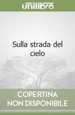 Sulla strada del cielo libro