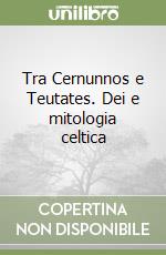 Tra Cernunnos e Teutates. Dei e mitologia celtica libro