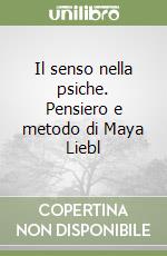 Il senso nella psiche. Pensiero e metodo di Maya Liebl libro