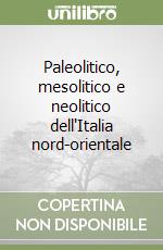 Paleolitico, mesolitico e neolitico dell'Italia nord-orientale libro