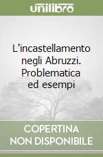 L'incastellamento negli Abruzzi. Problematica ed esempi libro