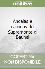 Andalas e caminus del Supramonte di Baunei (1)