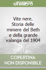 Vite nere. Storia delle miniere del Beth e della grande valanga del 1904 libro