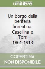 Un borgo della periferia fiorentina. Casellina e Torri 1861-1913