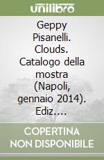 Geppy Pisanelli. Clouds. Catalogo della mostra (Napoli, gennaio 2014). Ediz. illustrata libro