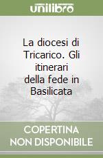 La diocesi di Tricarico. Gli itinerari della fede in Basilicata libro