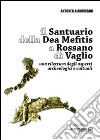 Il Santuario della Dea Mefitis a Rossano di Vaglio. Una rilettura degli aspetti archeologici e culturali libro