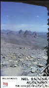 Nel Sahara algerino. Sulle orme di Carlo De Foucauld libro