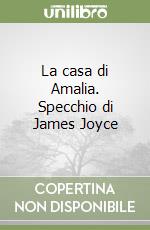 La casa di Amalia. Specchio di James Joyce