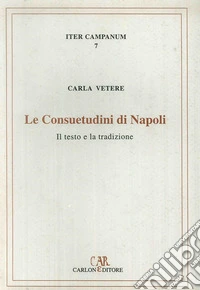 Le consuetudini di Napoli. Il testo e la tradizione libro