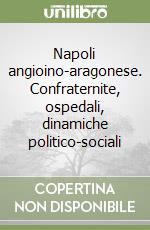 Napoli angioino-aragonese. Confraternite, ospedali, dinamiche politico-sociali