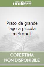 Prato da grande lago a piccola metropoli libro