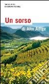 Un sorso di Alto Adige. Cantine e aziende vinicole selezionate libro