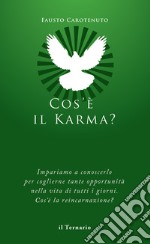 Cos'è il karma? Impariamo a conoscerlo. Cos'è la reincarnazione? libro