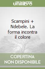 Scampini + Ndebele. La forma incontra il colore libro