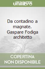Da contadino a magnate. Gaspare Fodiga architetto libro