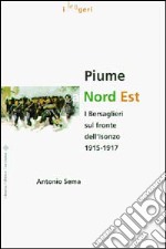 Piume a nord est. I bersaglieri sul fronte dell'Isonzo (1915-1917) libro