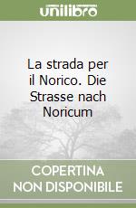 La strada per il Norico. Die Strasse nach Noricum