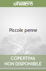 Piccole penne libro