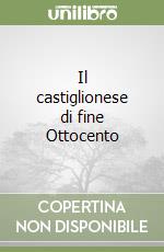 Il castiglionese di fine Ottocento libro