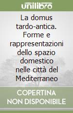 La domus tardo-antica. Forme e rappresentazioni dello spazio domestico nelle città del Mediterraneo