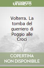 Volterra. La tomba del guerriero di Poggio alle Croci libro