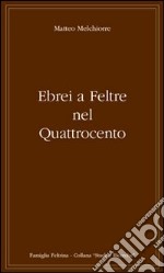 Ebrei a Feltre nel Quattrocento (uno scarto di bottega) libro