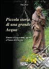 Piccola storia di una grande acqua. Soteria o l'acqua della salute di Seren del Grappa libro di Rech Marco