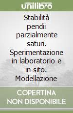 Stabilità pendii parzialmente saturi. Sperimentazione in laboratorio e in sito. Modellazione libro